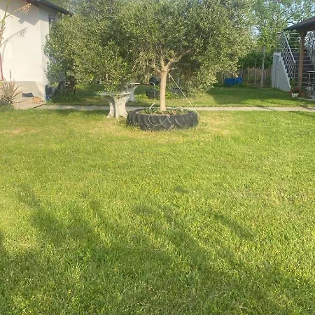 Guest house Oasis *